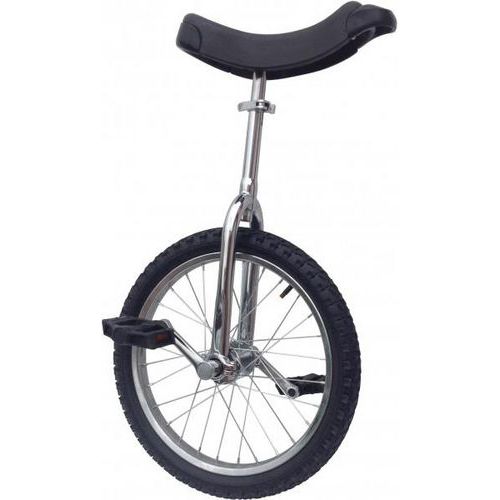 Monocycle Professionnel Chromé