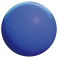 Ballon d'exercice type Pilate