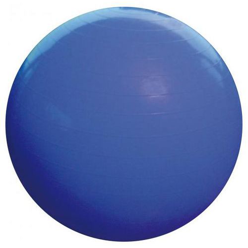 Ballon d'exercice type Pilate