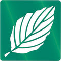 Ens 12 Pochoirs Plast Feuilles D'arbre 20x20cm