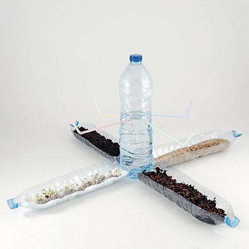 Je recycle mes bouteilles - Radis et Capucine