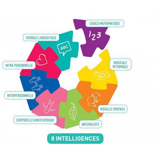 Le Défi Des Intelligences Multiples