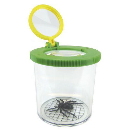 Boîte Loupe D'observation