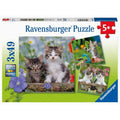 Puzzles chatons 49 pièces - Ravensburger