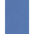 100 Cartons Veiné Cuir - Bleu