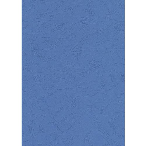 100 Cartons Veiné Cuir - Bleu