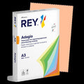 Ramette 500 Feuilles Vives 80g A3 - Saumon