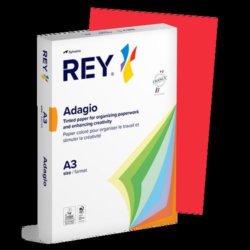 Ramette couleur vive 500 feuilles 80g A3 à la teinte - Rey