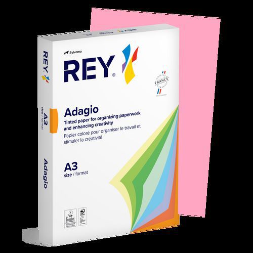 Ramette couleur vive 500 feuilles 80g A3 à la teinte - Rey
