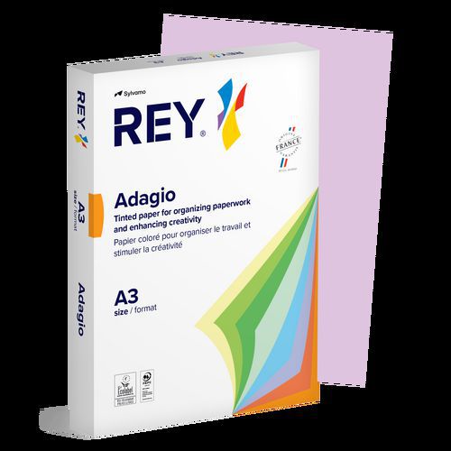 Ramette couleur vive 500 feuilles 80g A3 à la teinte - Rey