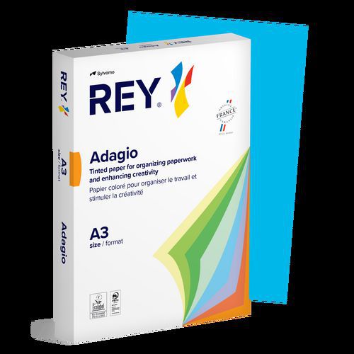 Ramette couleur vive 500 feuilles 80g A3 à la teinte - Rey