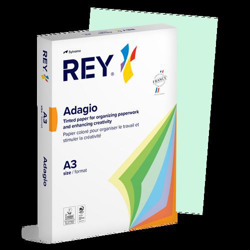 Ramette 500 Feuilles Vives 80g A3 - vert clair
