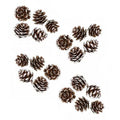 Sachet 20 Petites Pommes De Pin