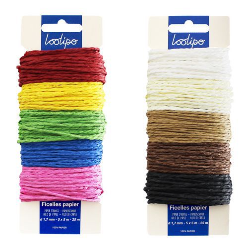 Lot De 10 Ficelles Colorées De 5m En Papier