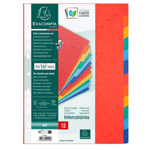 Jeu 12 Intercalaires Carte Lustrée A4 Couleurs Assorties