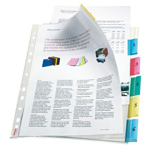 Pochettes intercalaires 6 touches 21x29,7cm plastique - Esselte