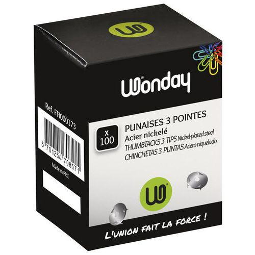 Boite De 100 Punaises 3 Pointes