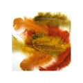 Sachet 150 Plumes Assorties Automne