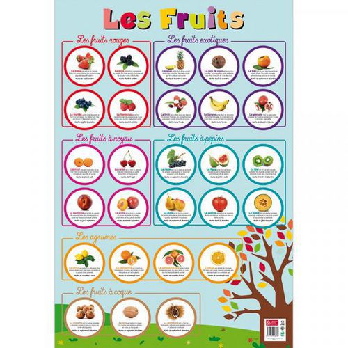 Poster Les Fruits 52x76cm