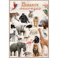 Poster les animaux sauvages