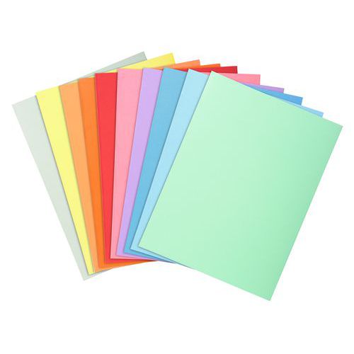 Paquet 100 Chemises Dossier 210g Peau 24x32 Col Ass
