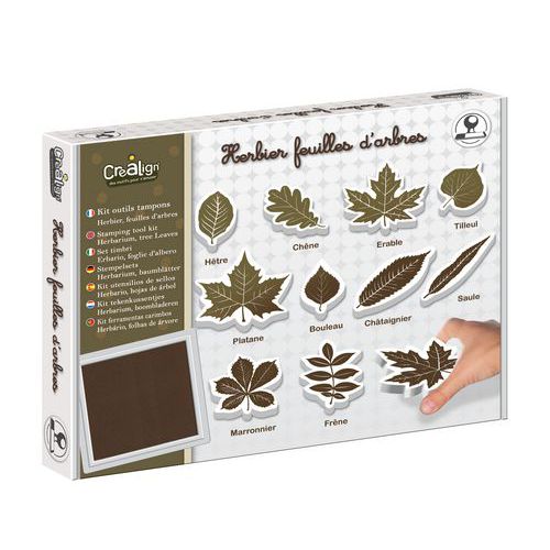 Kit De 10 Tampons Feuilles Herbier + 1 Encreur